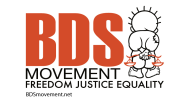 Kampania BDS – Niesamowite rzeczy, które osiągnęliśmy w 2014 roku